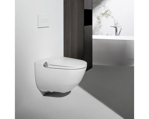 Унитаз-биде подвесной Laufen Cleanet Riva 60х39.5х40.5 см безободковый белый 8.2069.1.400.000.1